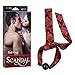 CalExotics Scandal Ball Gag – BDSM Fetish Play Toy for Couples – Sexy Bondage Restraint Lingerie - Black