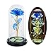 Glasseam La Bella E La Bestia Rosa in Cupola di Vetro con Luci A LED Bianche Calde Fiori di Cristallo Eterni Incantati per Sempre Regalo di Compleanno per Lei per L'anniversario