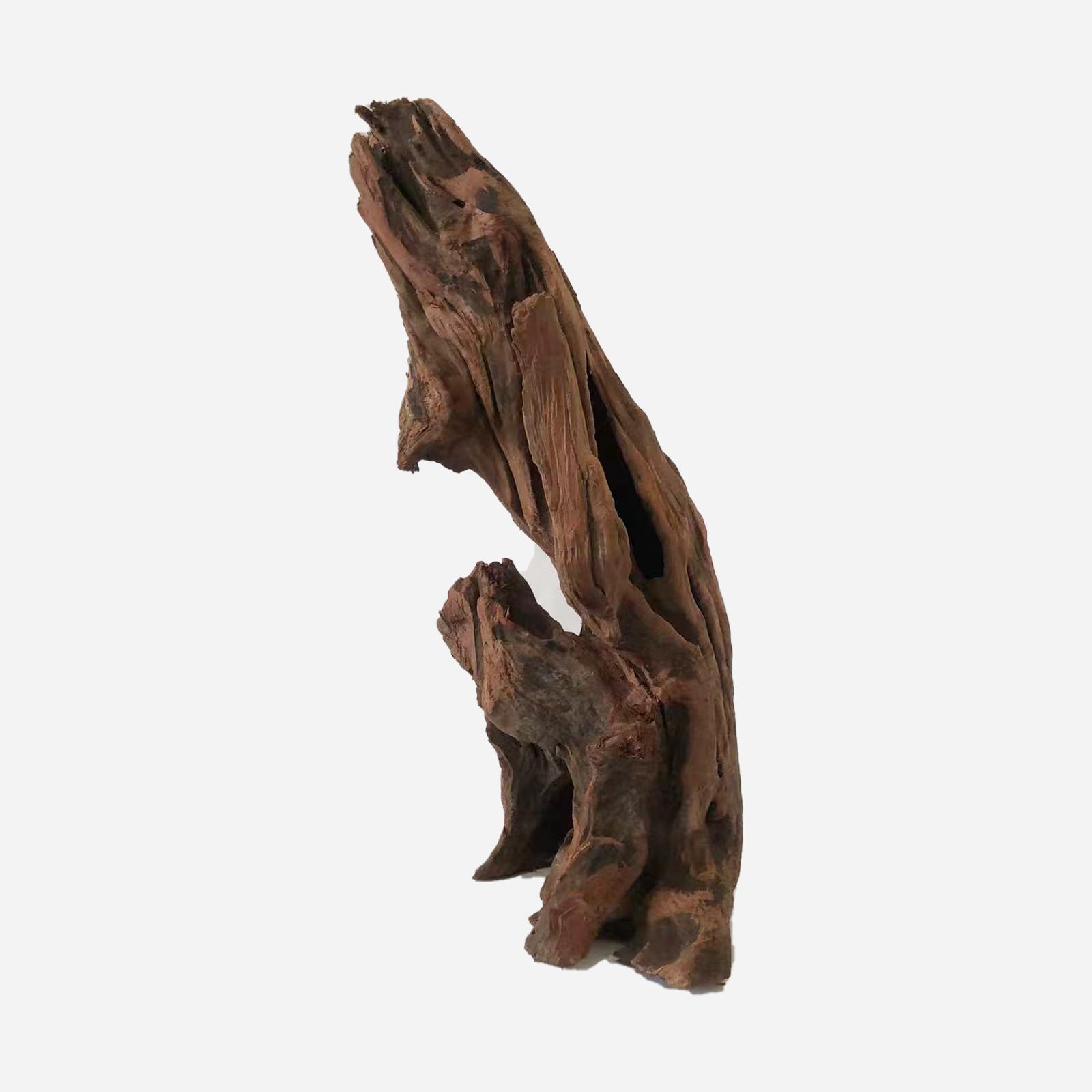 LYPHARD AQUARIUMS Legno naturale per acquario, 45,7-61 cm, rami assortiti per pelli di rettili, acquario, 1 pezzo