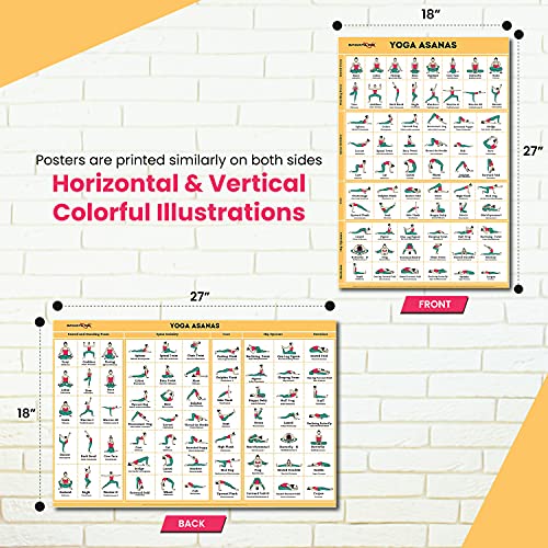 Sportaxis Yoga Poses Poster- 64 Yoga Asanas For Full Body Workout- Laminated Home Workout Poster With Colored Illustrations - English And Sanskrit Names - 18" X 27" (Double Sided) - Paper