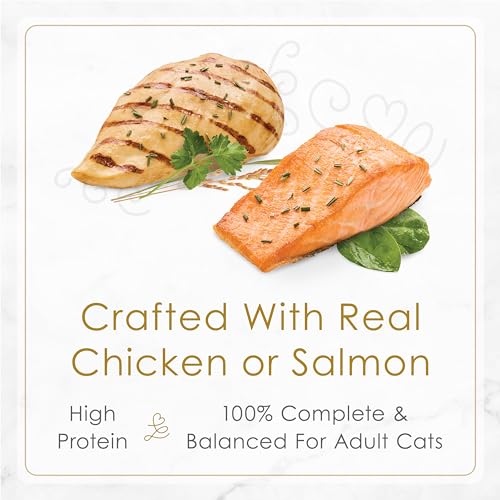 Fancy Feast Petites Wet Cat Food, in Gravy Collection Variety Pack 3 Flavours - 79.4 g Tray (24 Pack) image 2