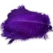 Sowder 50pcs Natural 8-10inch(20-25cm) Ostrich Feathers for Home Wedding Decoration(purple)
