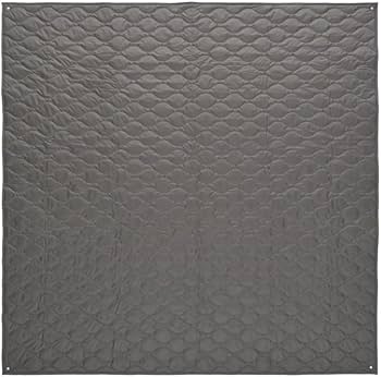 Amazon | snow peak(スノーピーク) キャンプ レジャーシート