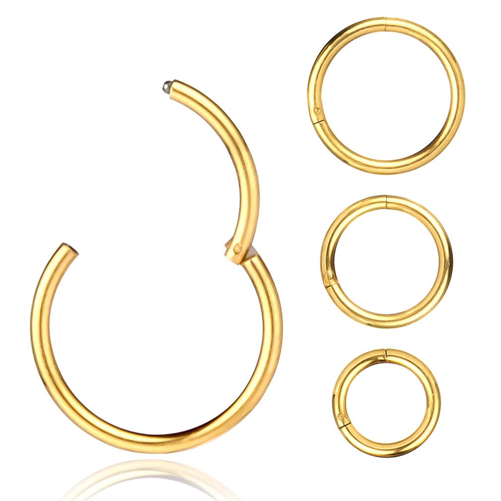 4Pcs Piercing-Ring-Nose-Rings-Hinged-Hoop-Earrings,Surgical Seamless Stainless Steel Clicker Eyebrow Septum Belly Button Piercing Hoop,6mm 8mm 10mm 12mm Segment Ring Unisex Earrings Body Jewelry Set