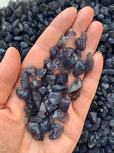 Image of GAF TREASURES 2 oz Lot Natural Semi Tumbled Iolite Gemstone Chips, Iolite Crushed Mini Crystals, Undrilled Crystal Chips (Iolite)