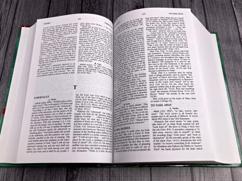 Vine's Complete Expository Dictionary of Old and New Testament Words - Image 3