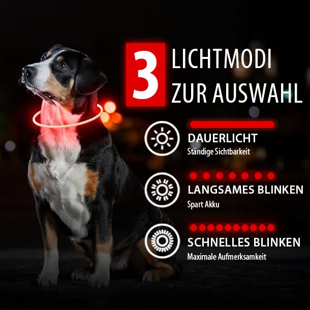 PetSol LED-Hundehalsband in Rot – wiederaufladbares USB-Sicherheitshalsband mit blinkendem Licht für Hunde, Katzen und Welpen – Größe S, M und L – modisches, im Dunkeln leuchtendes Design