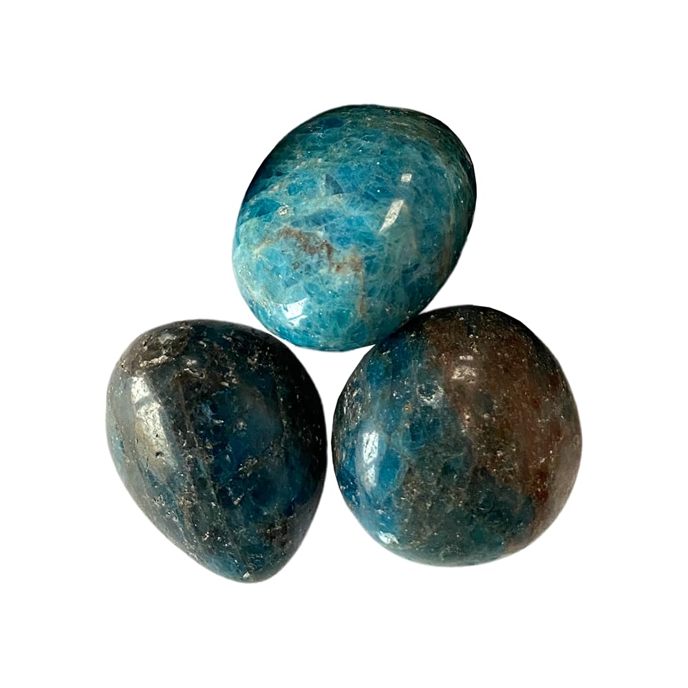 VIE Tumbled Crystals, Pack of 6, Apatite