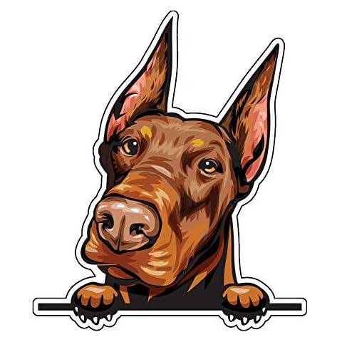 WickedGoodz Doberman Pinscher Vinyl Decal - Dog Breed Bumper Sticker - for Laptops Tumblers Windows Cars Trucks Walls - Brown Color Cover