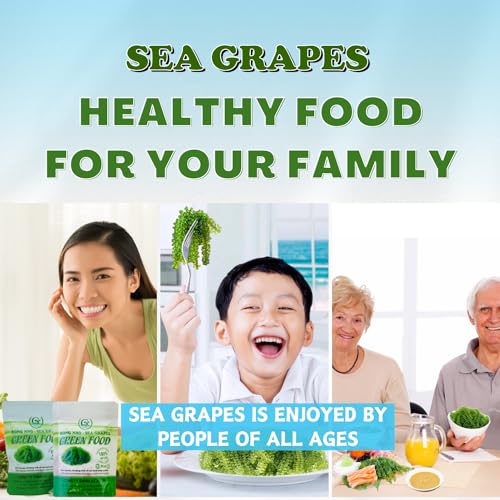 GCAP Sea Grapes Green Food - 3.53 OZ/100g, Dehydrated lato, Organic seaweed - Umibudo - Green caviar - Caulerpa lentillifera - Delicious Crunchy Healthy Freshness from the Ocean