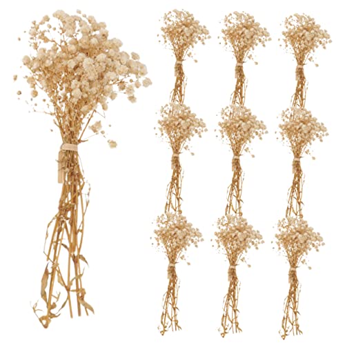 Ramo Seco de Flores Luz de Bebé Beige para Decoración miniatura 1