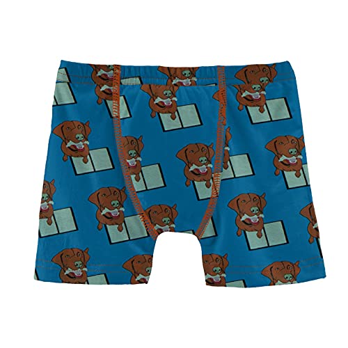 KicKee Pants Boys Boxer Brief Underwear, Silky Soft Printed Boxer Briefs for Your Little Man, Lightweight and Breathable For All Day Comfort (Cerulean Blue Dog Ate My Homework - M-8/10)
