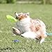 Hyperflite Pup Jawz Dog Flying disc • World's Toughest Canine Competition-Approved Flying disc • Best Competition Flying disc Toy for Pets • Puncture Resistant • 7 Inch • Lemon-Lime