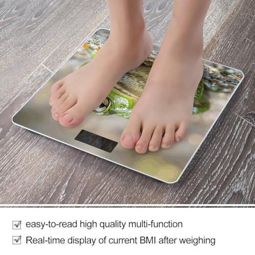 Báscula Digital de Baño FekiLoot con Plataforma de Vidrio miniatura 5