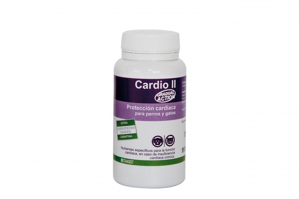 Stangest Cardio II Carnitine 60Cpd
