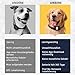 Tracker Hund, Hundetracker mit Halsbandhalterung, Intelligenter Tiertracker, Hundetracker mit Keine Monatlichen Gebühren für Location Tracking, Arbeit mit Find My, Nicht GPS Tracker Hund, nur iOS