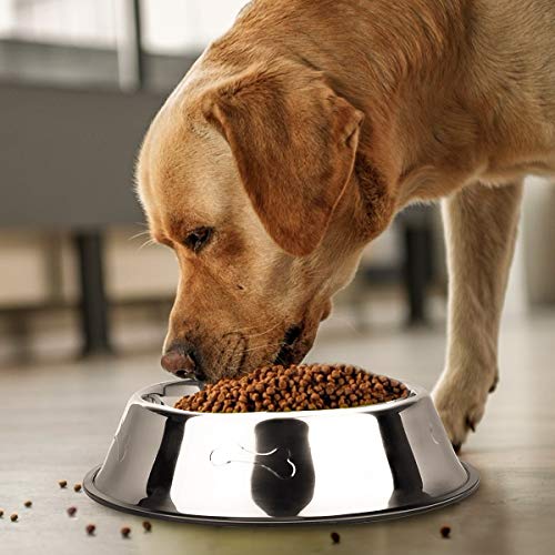 Ciotola per cani in acciaio inox, antiscivolo, 2