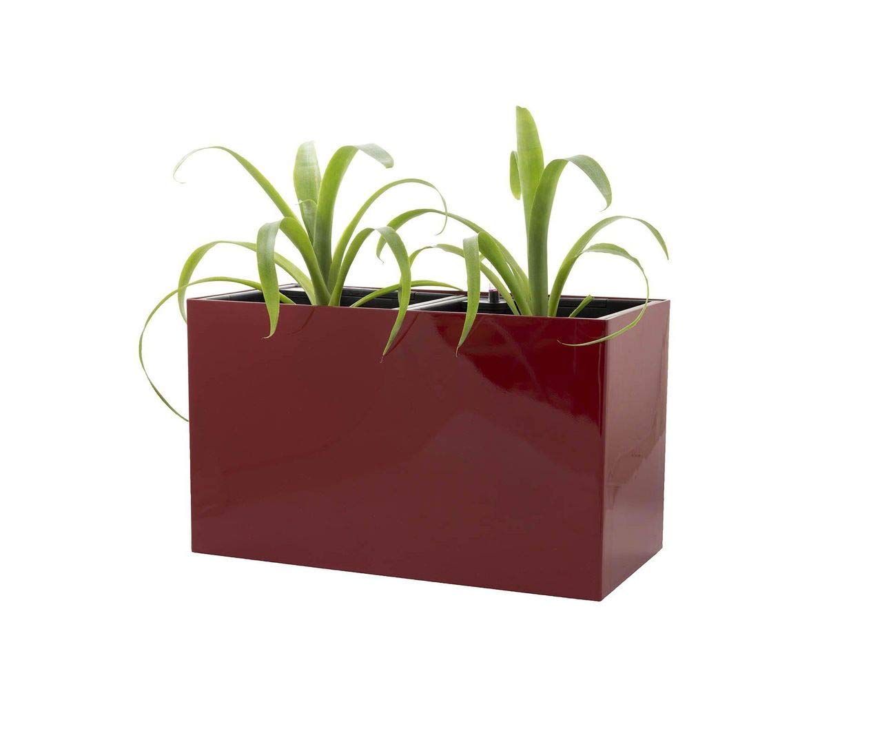 Auto-arrosage des pots de fleurs G21 Combi 56 cm rouge, l'arrosage des, pots de fleurs, des Accessoires de décoration Intérieure, Ménage