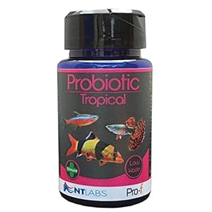NT Labs Pro-F Probiotic Tropical 120g
