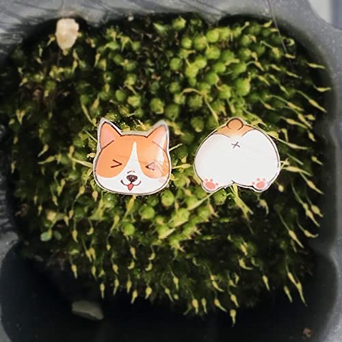 Sis-woner Originale Corgi Shiba Inu Simpatico