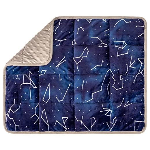 Florensi Weighted Lap Pad for Kids, 7 lbs - Weighted Blanket for Kids, Toddler, Baby, Teenager, Boys, Girls - Soft, Warm, Comfortable - Sensory Items for Sleep - Calm Down Corner Supplies - 20" x 23"