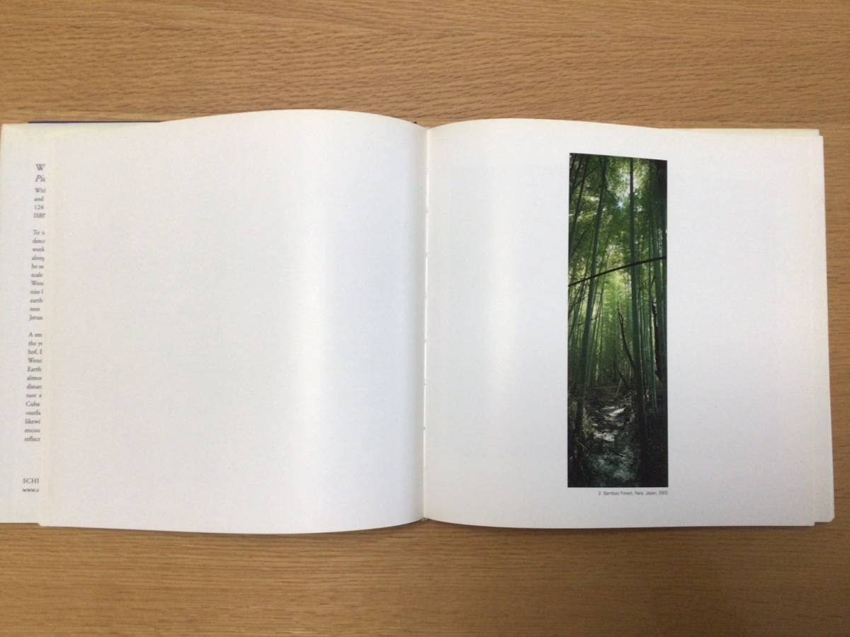 ヴィム・ヴェンダース 写真集 Amazon.co.jp: 写真集 ヴィム ヴェンダース PICTURES FROM THE