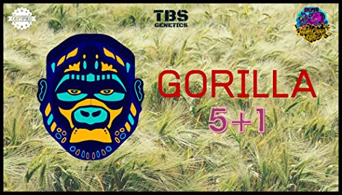 Generico Gorilla TBS - Contenitore in Silicone 5+1