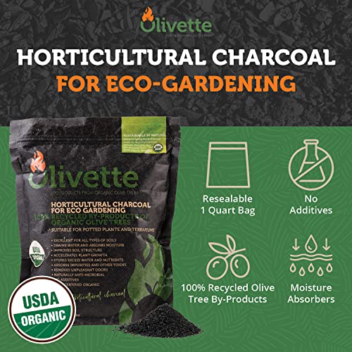Horticultural Activated Charcoal For Plants By Olivette | Terrarium Horticulture Moisture Absorbers | Terrarium Supplies | Usda Organic Certified | Made From Recycled Olive Tree Byproducts | 1 Qt Bag #TOP1