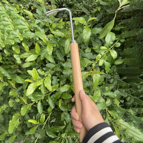 Extrator manual de ervas daninhas de 40,6 cm é feito de aço inoxidável ferramenta de remoção de erva