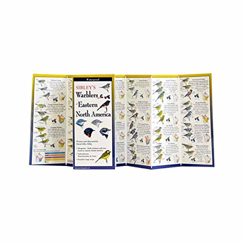Steven Lewers Sibley's Warblers of East Na by David Allen Sibley - WE-155