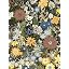 Black/Green/Yellow/Blue-M