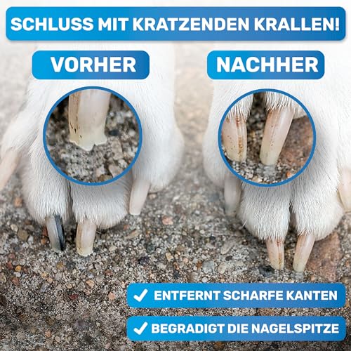 BluePet Krallenfeile für Hunde und Katzen, Nagelfeile Hundekrallen, Krallenpflege Hund, Katze & Kleintiere, Nägel feilen, Ergänzung zu Krallenschere & Krallenschleifer (1x fein)