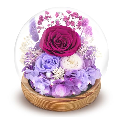 Preserved Flowers Roses in Glass Dome Forever Flowers for Delivery Prime Eternal Rose Long Lasting Flowers Gifts for Women Mom Wife Grandma Friends(Purple)