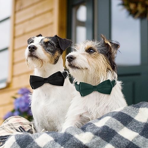 KTWSUEF Hundehalsband Samtiges, mit Abnehmbarer Hunde Fliege, Komfortable Verstellbares Samtige Halsband Hund, Geeignet für Hunde Kleine Mittel große Hunde, Für Hochzeiten, Geburtstage, Partys usw