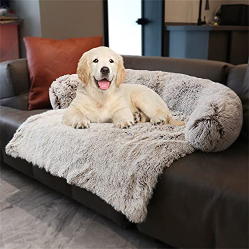 49 Mejor sofas para perros en 2022 según los expertos