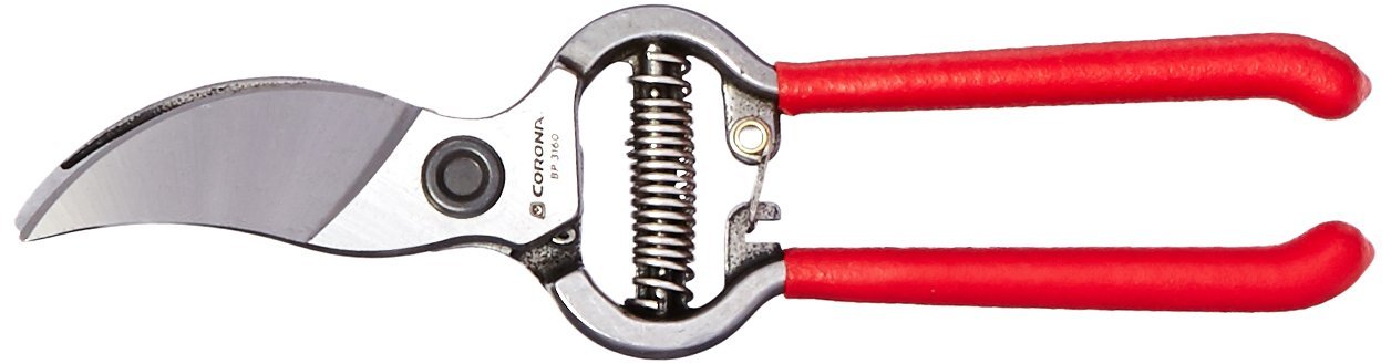naconoページ Amazon.com : Corona Clipper SP9934 3/4-Inch Bypass Pruning