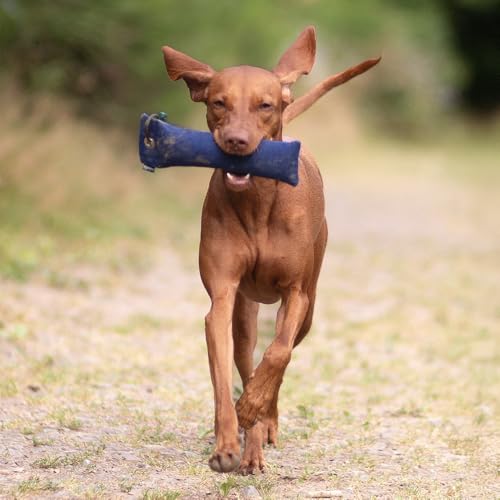Romneys Hundetraining Dummy 500g - Robust & Schwimmfähig, Apportierprüfungen Zugelassen - Ideal für Wasserarbeit, aus Reißfestem Canvas (blau)