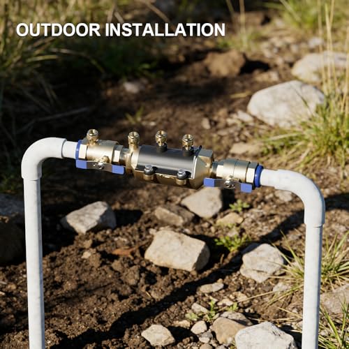 Image of 1-350 Double Check Backflow Preventer,Double Check Valve Assembly