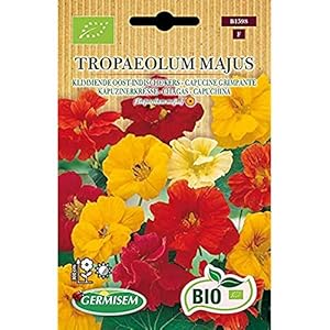 Germisem ECBIO1598 Organisch Tropaeolum Majus Oost-Indische kers Zaden 1 g