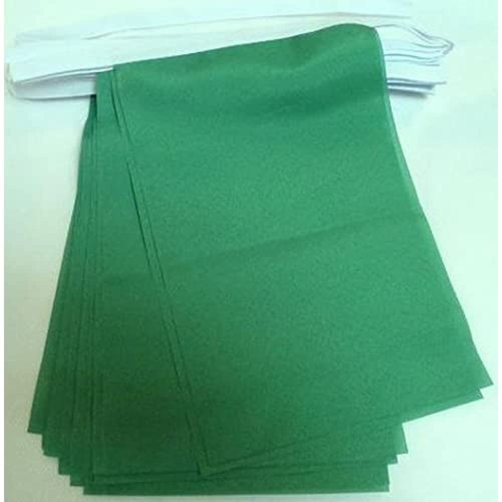 AZ FLAG Plain Green Bunting 6 m 20 flags Light Polyester 21x15 cm