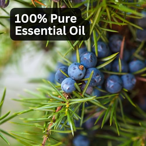 Image of Aroma Treasures Juniper Berry Oil