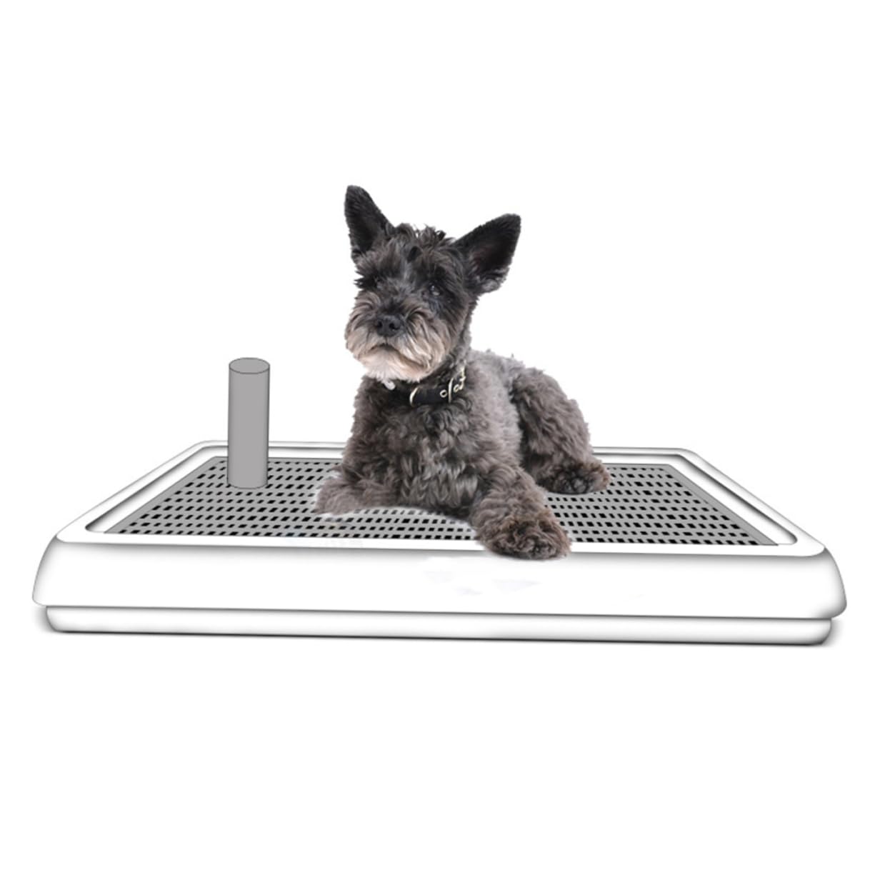 HOLIDYOYO Open Type Dog Toilet for Small Breeds Urinal Basin for Easy Potty Training Convenient Indoor Use Durable Design for Patios and Balconies Chamber Pot for Pets