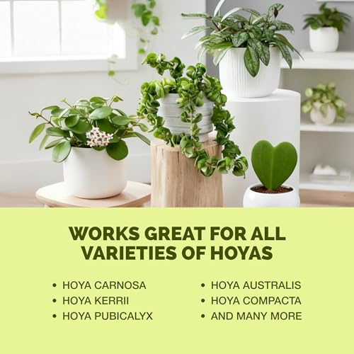 Hoya Fertilizante Líquido para Plantas 8 oz miniatura 6