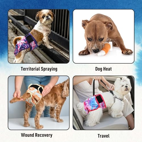 Image of Female Dogs Diapers Belly Bands, Washable Reusable Female Doggy Wraps Panties for Doggie Puppy Pooping Potty Training Heat Incontinence Marking Panal para Perro Large
