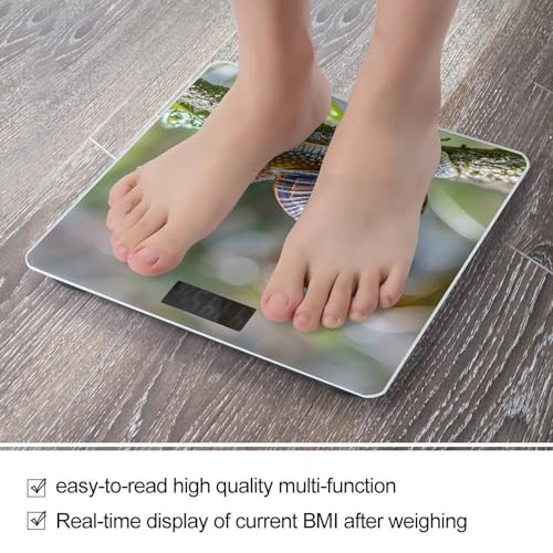 Báscula digital de baño con vidrio templado y pantalla LCD miniatura 5