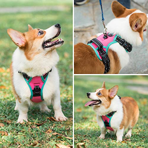 PHOEPET 2019 Upgraded No Pull Dog Harness, Reflective Adjustable Vest, with a Training Handle + 2 Metal Leash Hooks+ 3… - Image 8