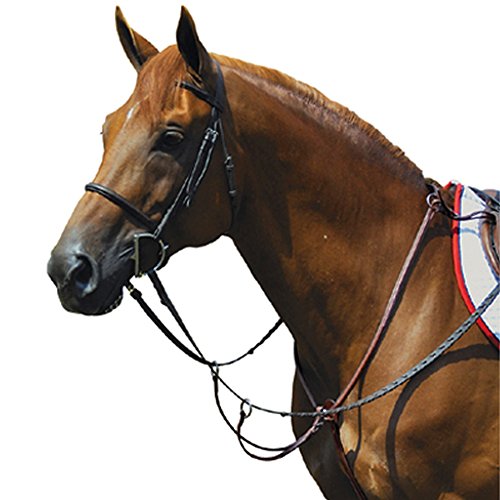 Exselle Elite Fancy High Raised Breastplate with Running Attachment, Dark Havana, Oversize