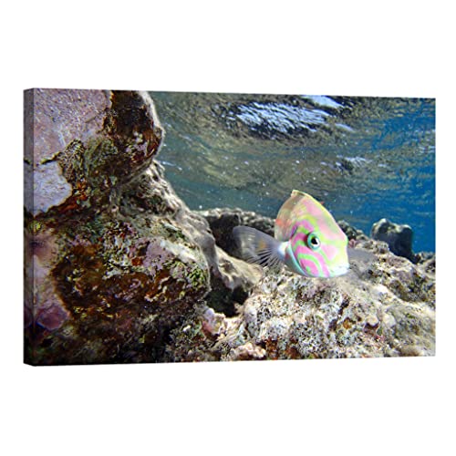 Tableau animaux phosphorescent 80x120 cm illumine votre salon dans le noir d'une lueur magique