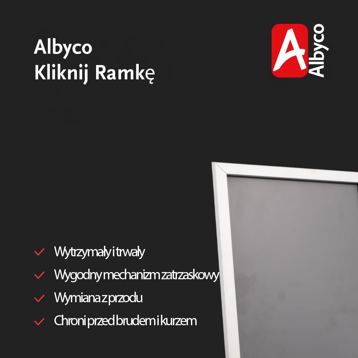 Albyco - Ramka - Na zdjęcia DANCE plakaty - Kolor: Aluminium - A3 - Do zdjęć lub innych plakatów lub obrazów - Rozmiar A3, 29,7 x 42 cm, 20mm