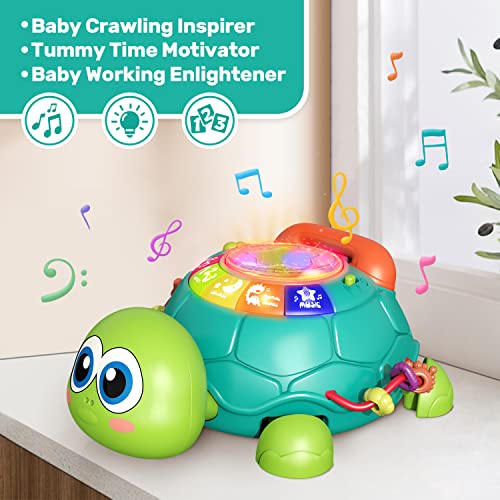 CUTE-STONE-Baby-Toys-6-to-12-Months-Musical-Turtle-Crawling-Baby-Toys-for-12-18-Months-Early-Learning-Educational-Toy-with-Light-SoundToy-for-Infant-Toddler-Boy-Girl-7-8-9-10-11-12-Month CUTE-STONE-Baby-Toys-6-to-12-Months-Musical-Turtle-Crawling-Baby-Toys-for-12-18-Months-Early-Learning-Educational-Toy-with-Light-SoundToy-for-Infant-Toddler-Boy-Girl-7-8-9-10-11-12-Month